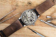 窝路坚手表生锈的解决方法（保养技巧与日常护理指南）