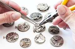 窝路坚进水维修费用（了解维修成本与选择策略）