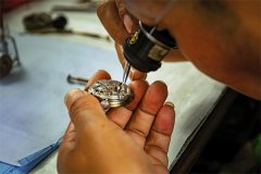 窝路坚如何鉴定手把手教学