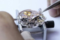 窝路坚表蒙是什么材质